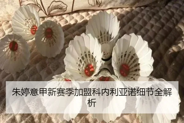 zhu-ting-yi-jia-xin-sai-ji-jia-meng-ke-nei-li-ya-nuo-xi-jie-quan-jie-xi-3-221.jpg